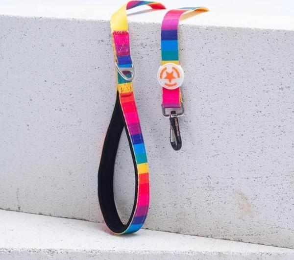 Pawstar Rainbow Köpek Gezdirme Kayışı 120 cm x 2 cm - Image 1