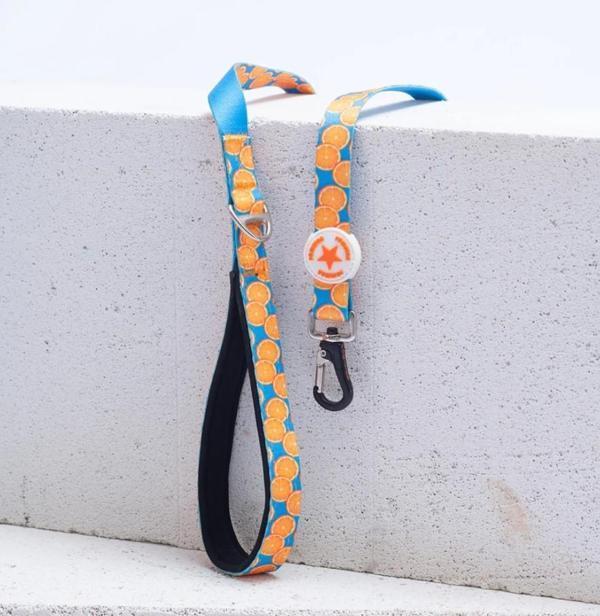 Pawstar Citrus Köpek Gezdirme Kayışı 120 cm x 2 cm - Image 1