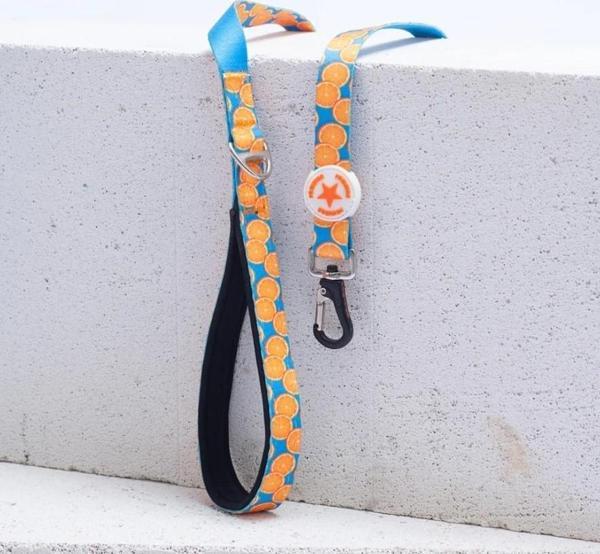 Pawstar Citrus Köpek Gezdirme Kayışı 120 cm x 2 cm - Image 1