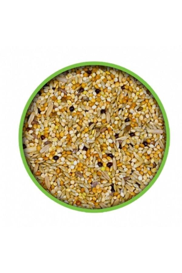 Vivid Karışık Muhabbet Yemi 1 Kg - Image 1