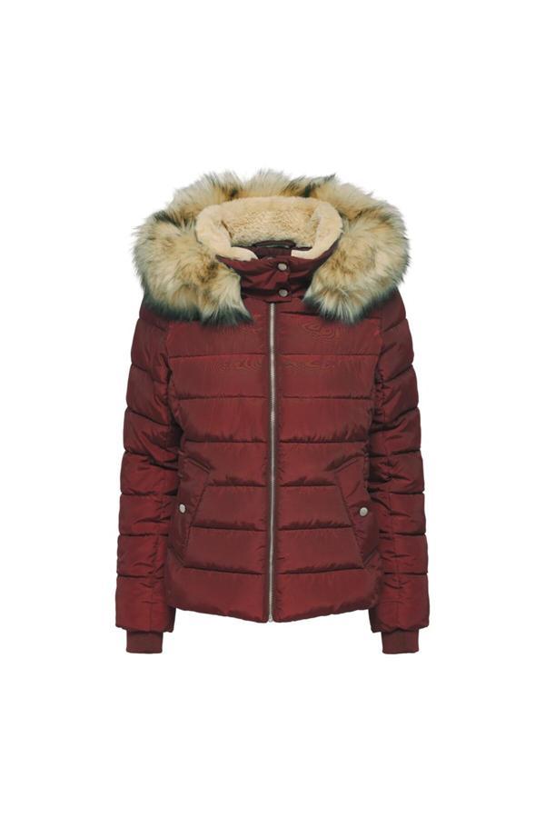 Only Kadın Kışlık Kapüşonlu Mont - Minimalist & Sıcak - Image 1