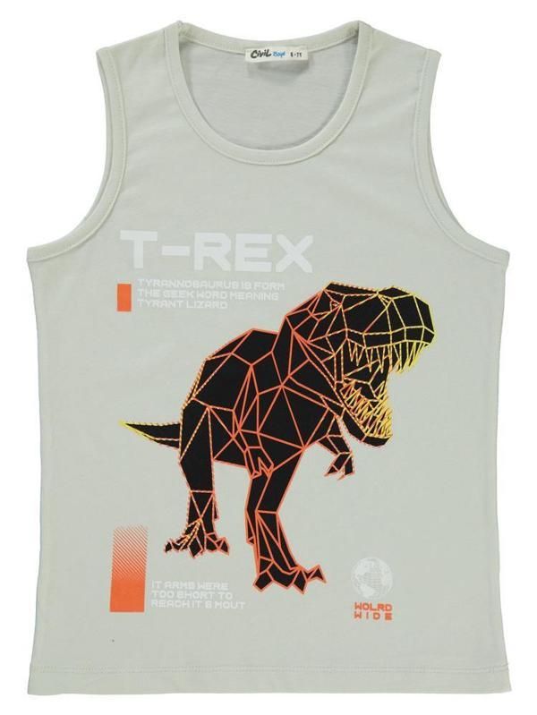 Civil Boys Trex Baskılı 6-9 Yaş Tişört - Gri6-7 Yaş - Image 1