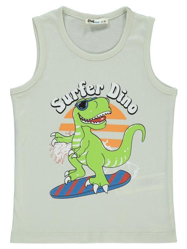Civil Boys Surfer Dino Baskılı 2-5 Yaş Tişört - Gri2-3 Yaş - Image 1