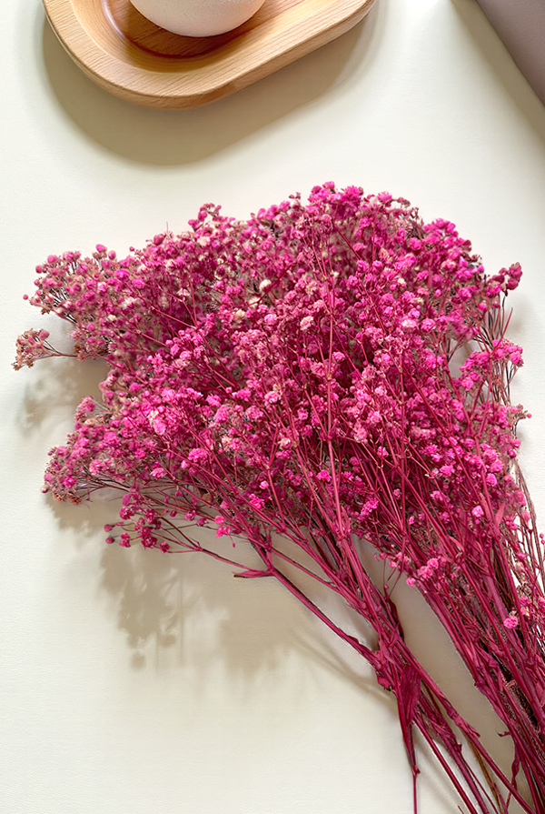 Cassia Cipso Kuru Bitki Pembe - Image 1