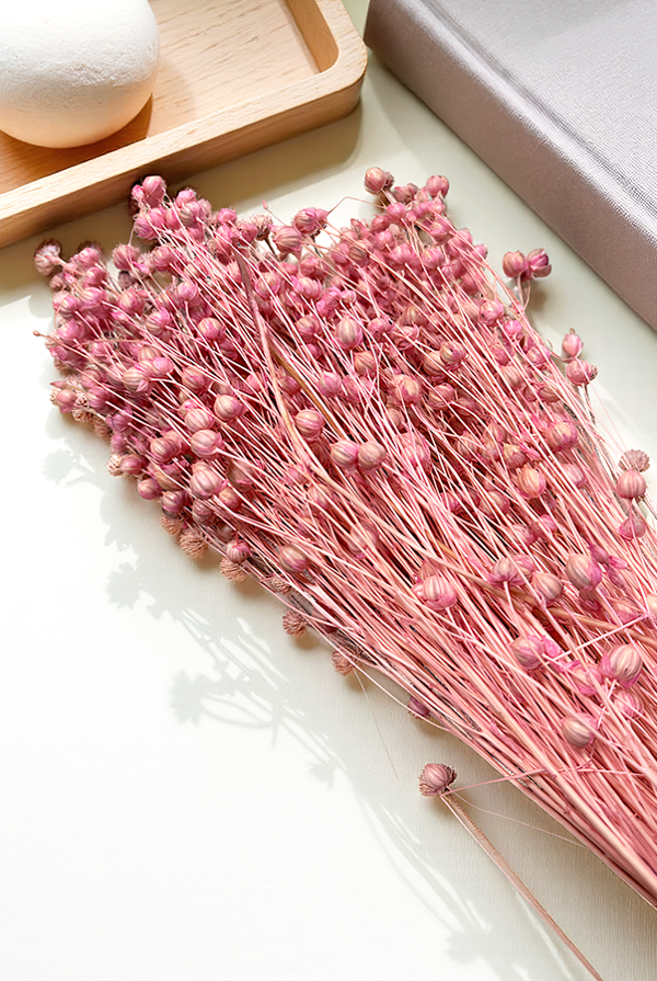 Cassia Keten Kuru Bitki Pembe - Image 1