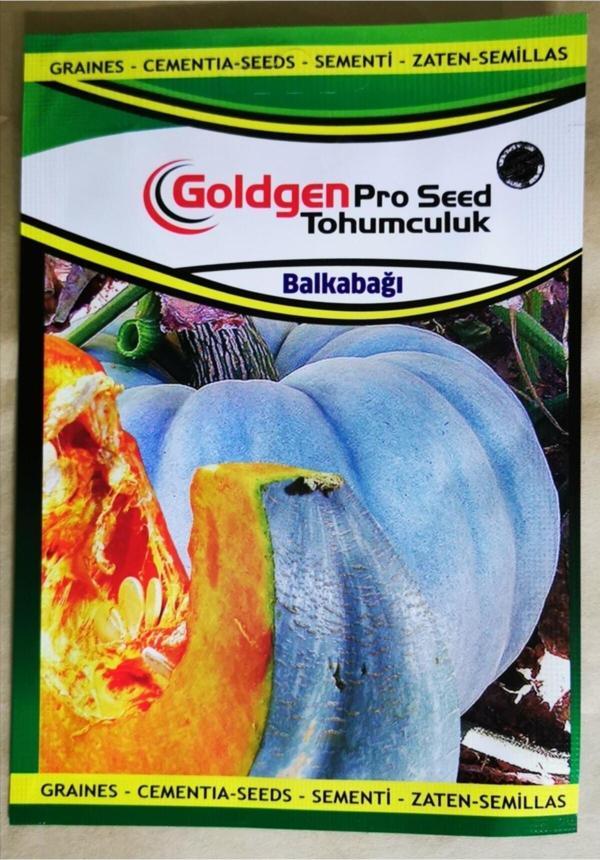Azaklioglu Home And Garden Goldgen Pro Seed Bal Kabağı Tohumu - Image 1
