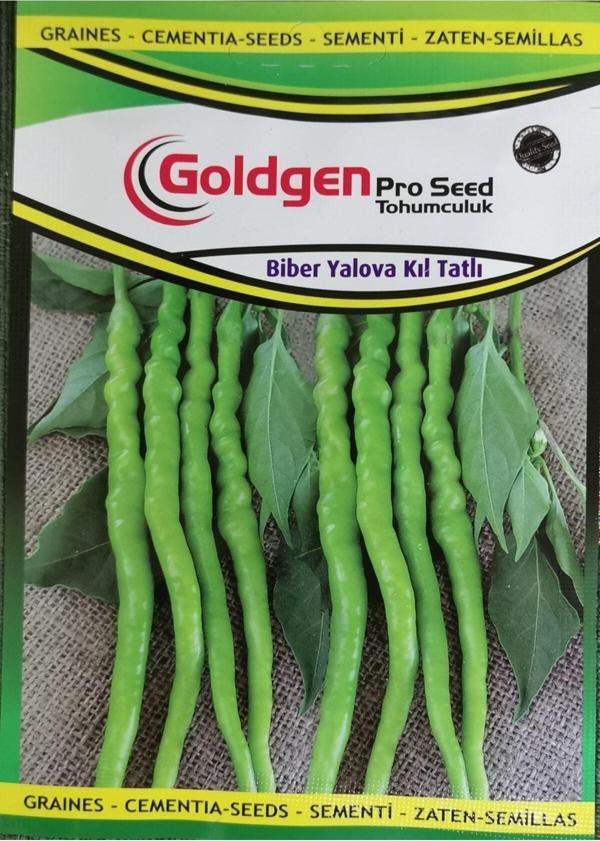 Azaklioglu Home And Garden Goldgen Pro Seed Biber Yalova Kıl Tatlı - Image 1