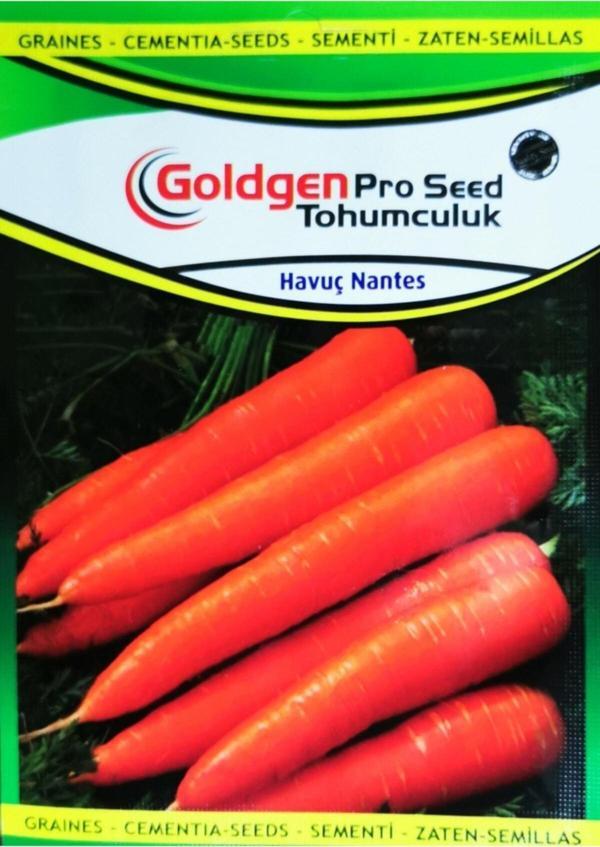 Azaklioglu Home And Garden Goldgen Pro Seed Havuç Tohumu - Image 1