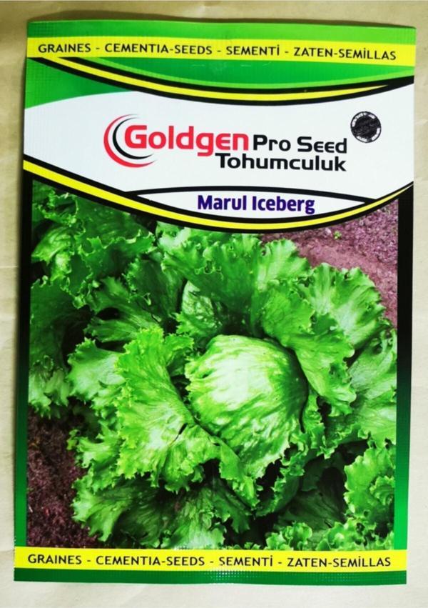 Azaklioglu Home And Garden Goldgen Pro Seed Iceberg Marul Tohumu - Image 1