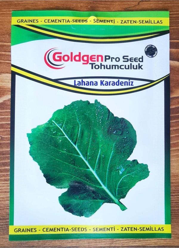 Azaklioglu Home And Garden Goldgen Pro Seed Lahana Karadeniz - Image 1