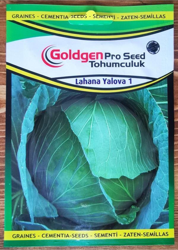 Azaklioglu Home And Garden Goldgen Pro Seed Lahana Tohumu - Image 1