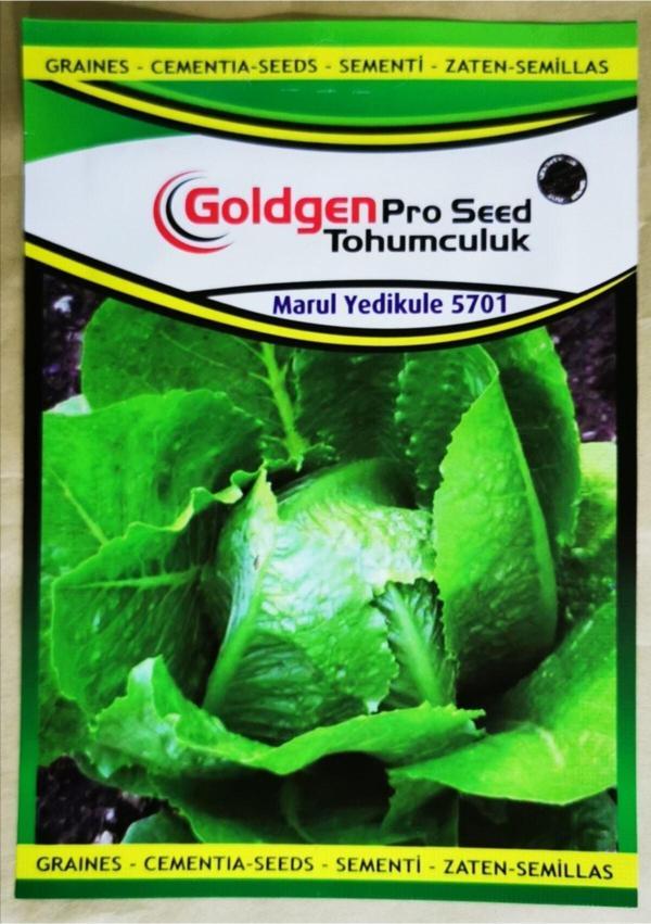 Azaklioglu Home And Garden Goldgen Pro Seed Marul Tohumu Yedikule - Image 1