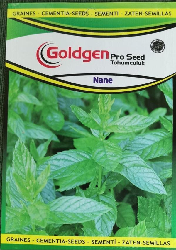 Azaklioglu Home And Garden Goldgen Pro Seed Nane Tohumu - Image 1