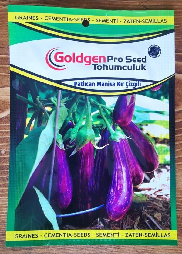 Azaklioglu Home And Garden Goldgen Pro Seed Patlıcan Manisa Kır Çizgili - Image 1