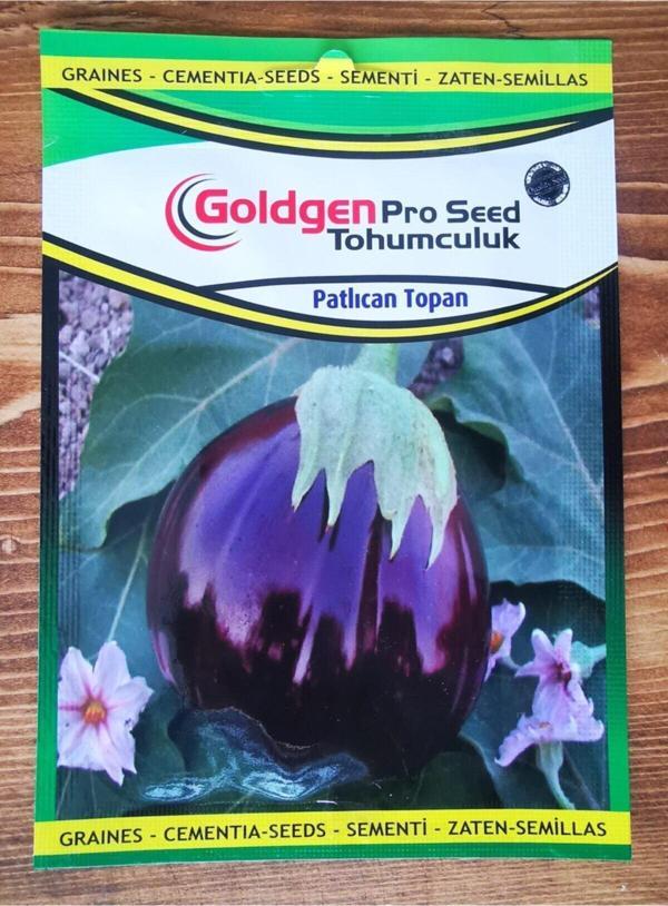 Azaklioglu Home And Garden Goldgen Pro Seed Patlıcan Topan - Image 1