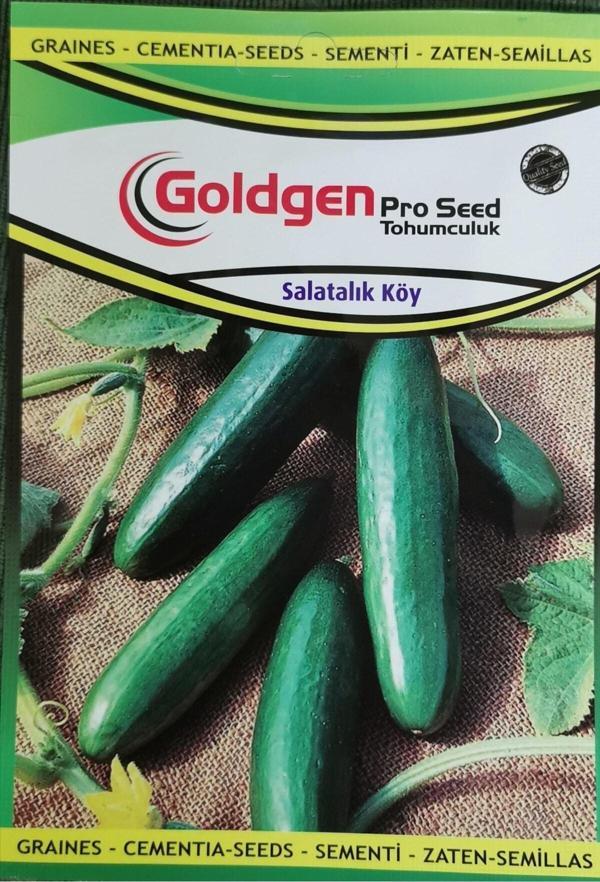 Azaklioglu Home And Garden Goldgen Pro Seed Salatalık Köy - Image 1