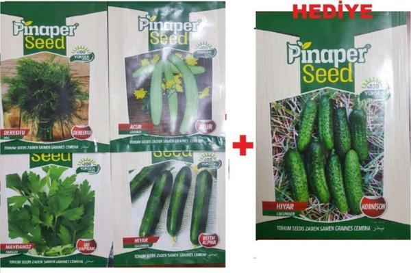 Pinaper Seed Maydanoz Tohumu - Dere Otu Tohumu - Acur Tohumu - Hıyar Tohumu - Image 1
