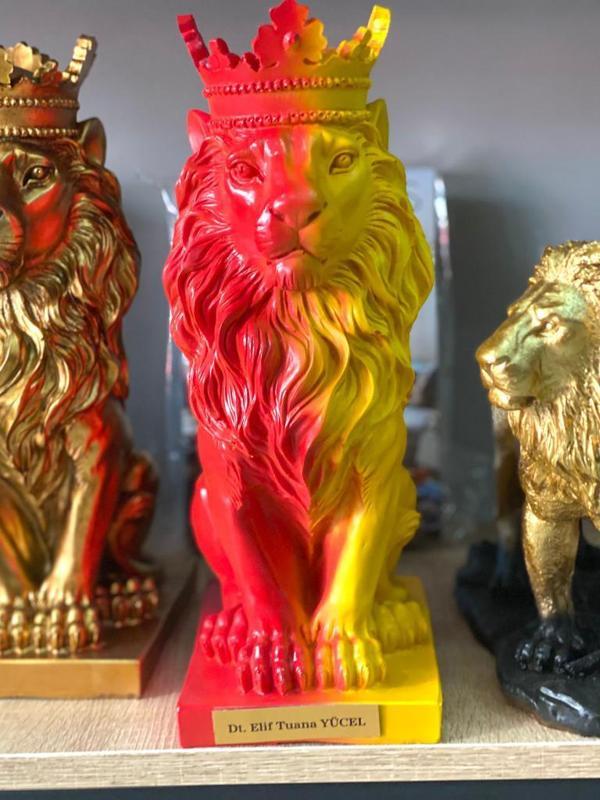 Aslan Kral Biblo Kişye Özel, İsim Veya Marka Yazılır - Image 1