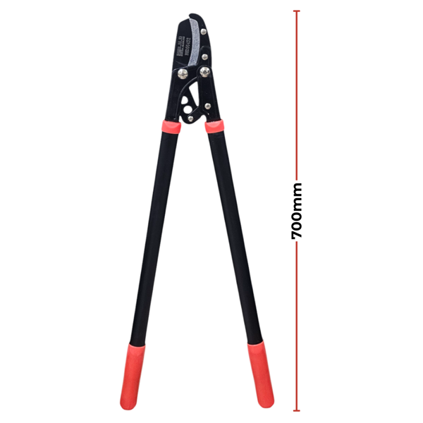 Fixonic B.H.D BHD00452 5cm Dal Budama Makası - Image 1