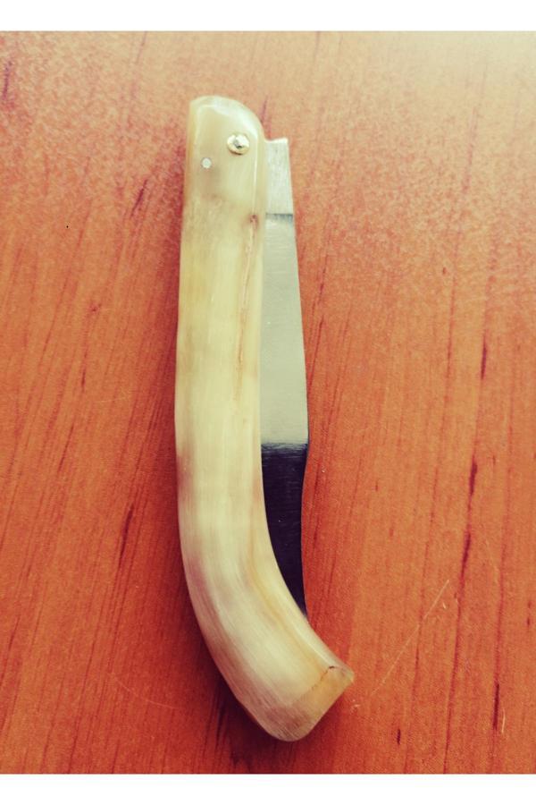 Efsoon Organics Kemik Tutm Saplı Bıçak - Koç Boynuzu Bıçak - Keskin Çelik - Özel Kutusunda Hediyelik - Image 1