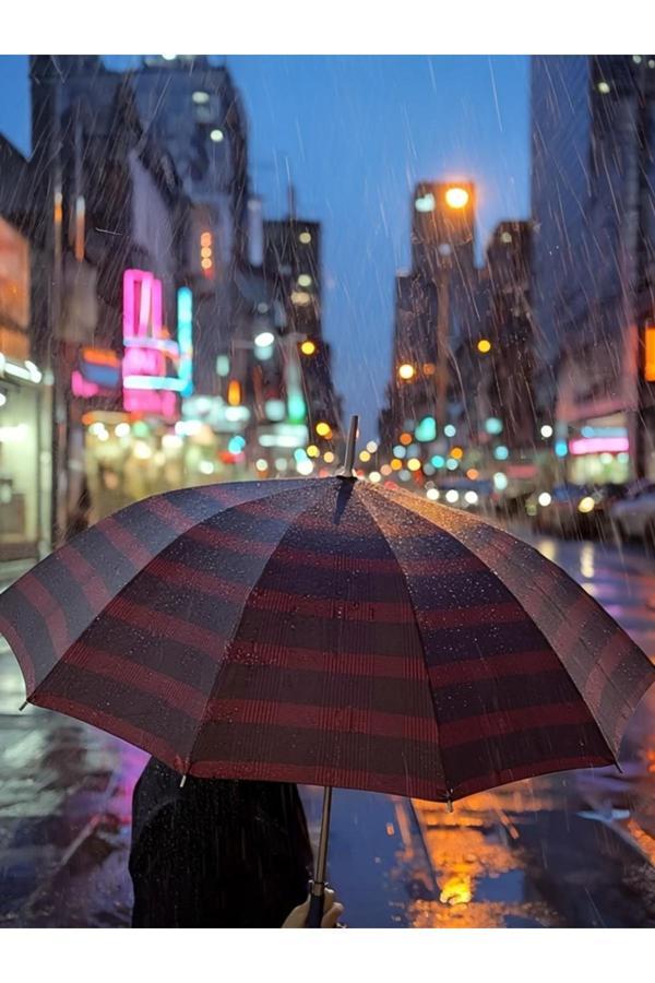 Kizilelmada Rüzgâra Ve Yağmura Dayanıklı 12 Telli Büyük Şemsiye – 93 Cm - Image 1
