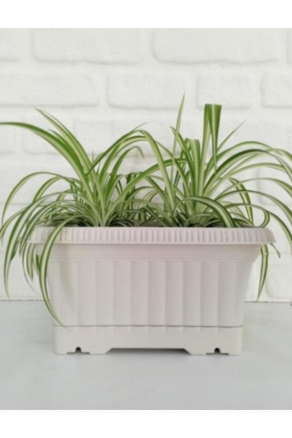 Kizilelmada Ova Balkon Saksı No:1 – 27X16 Cm, 3.5 Litre Dikdörtgen Saksı - Image 1