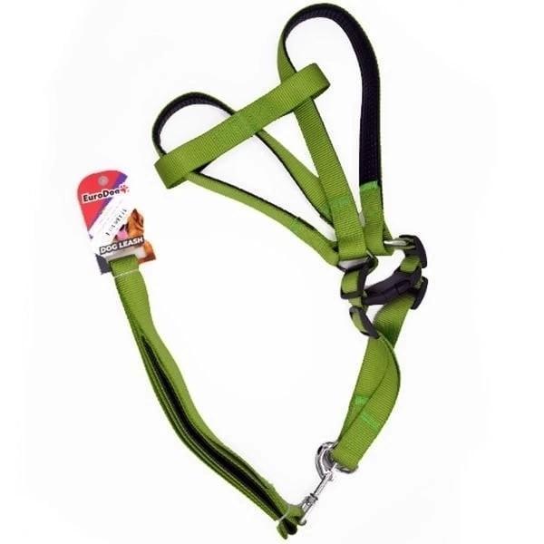 Euro Dog Köpek Uzatma Tasması ve Göğüs Tasması Takımı Yeşil 25 Mm 120 Cm - Image 1