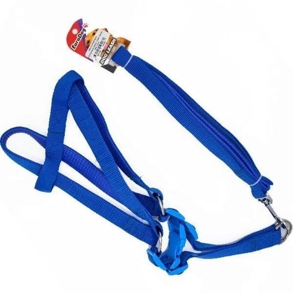 Euro Dog Köpek Uzatma Tasması ve Göğüs Tasması Takımı Mavi 15 Mm 120 Cm - Image 1