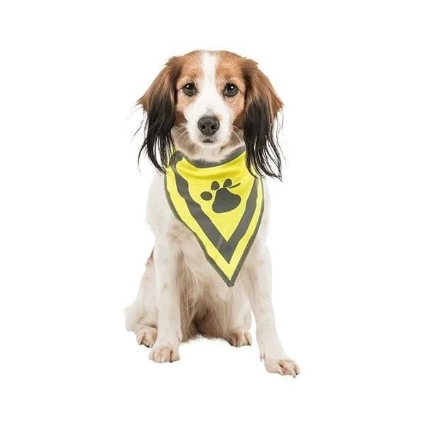 Trixie Köpek Bandanalı Tasma Small 22-28 Cm - Image 1