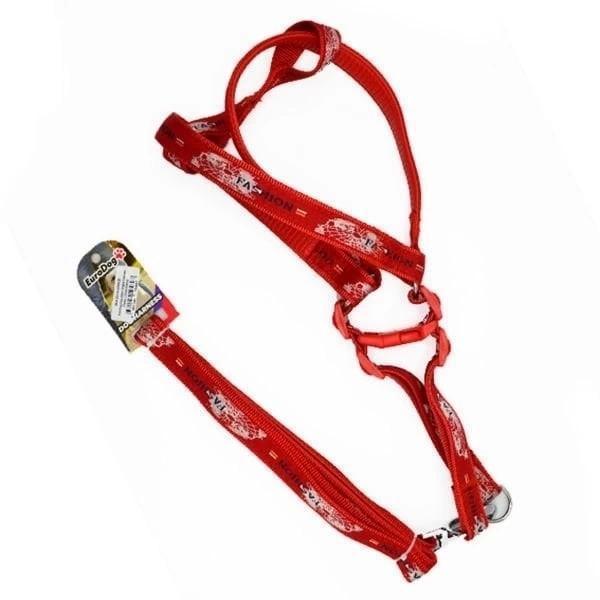 Euro Dog Köpek Uzatma Tasması ve Göğüs Tasması Takımı Kırmızı/Beyaz 25 Mm 120 Cm - Image 1