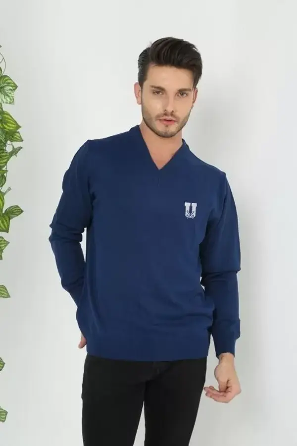 Baskılı V Yaka Uzun Kol Dokuma Triko - Indigo - Image 1