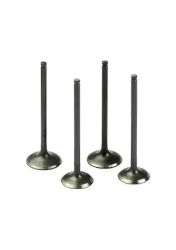 Opel Astra F Corsa B 1.4 DR-C 1.4 SE X1.4SZ Subap Emme Valfi 4'lü Set 38X7X104.6 mm - Image 1