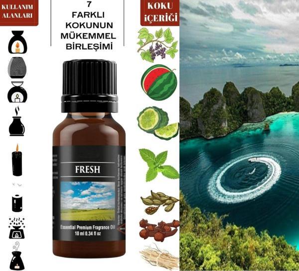 Fresh Uçucu Yağ Kokusu Buhurdanlık Difüzör Hava Nemlendirici Kokusu Difüzör Koku Aromatik - Image 1