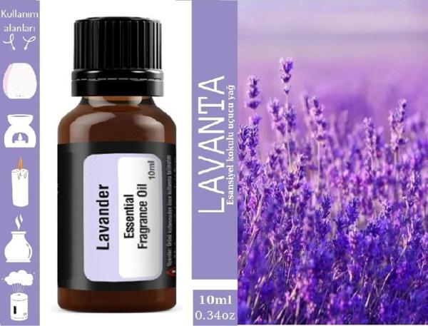 Lavanta Uçucu Yağ Kokusu Buhurdanlık Difüzör Hava Nemlendirici Kokusu Difüzör Koku Aromatik - Image 1