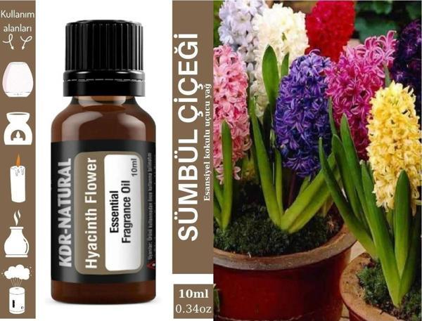 Sümbül Çiçeği Uçucu Yağ Kokusu Buhurdanlık Difüzör Hava Nemlendirici Kokusu Difüzör Koku Aromatik - Image 1