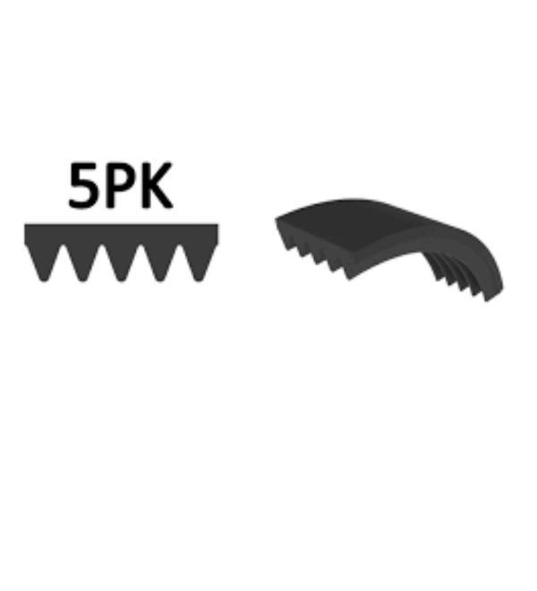 MAN F00 TGA 18.360 1999 Sonrası V Kayışı - Image 1