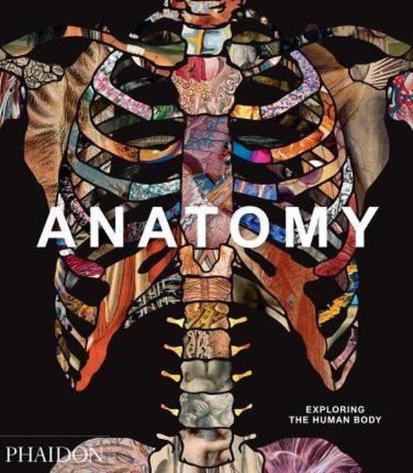 Anatomy: Exploring the Human Body (Explorer) - Phaidon - Image 1
