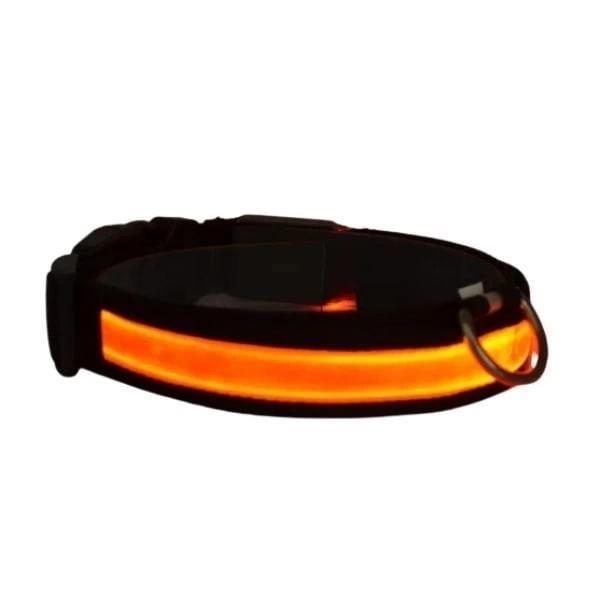 Petzz Işıklı Ayarlanabilir Flaşörlü Kedi ve Köpek Boyun Tasması Kırmızı 40-48 Cm / 2.5 Cm - Image 1