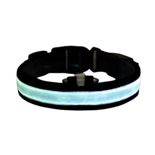Petzz Işıklı Ayarlanabilir Flaşörlü Kedi ve Köpek Boyun Tasması Mavi 35-43 Cm / 2.5 Cm - Image 1