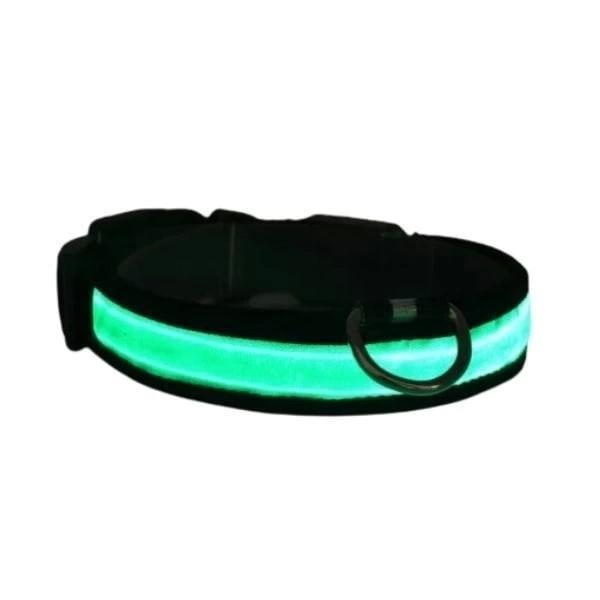 Petzz Işıklı Ayarlanabilir Flaşörlü Kedi ve Köpek Boyun Tasması Yeşil 35-43 Cm / 2.5 Cm - Image 1