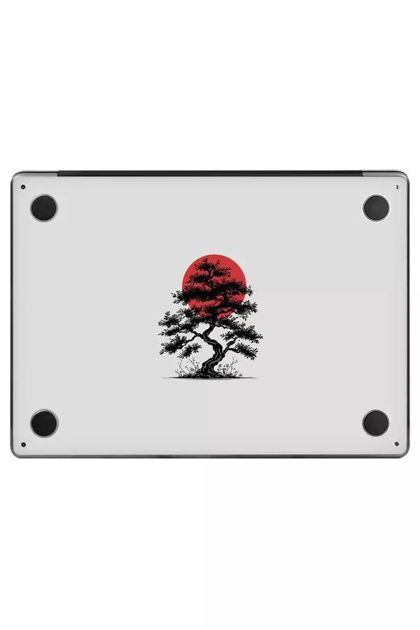 Papscover Macbook Air 13" (2024 M3) Kaplama - Japon Ağacı - Image 1