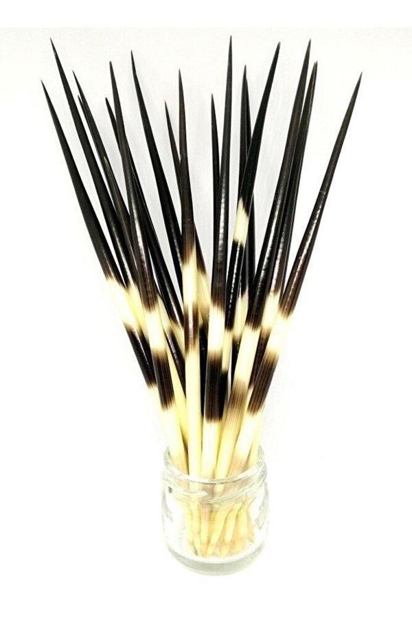 Sanathobi Kirpi Dikeni-Kirpi Oku- Büyük Boy (21-26 Cm Arası) Rölyef Sanatına Uygun - Image 1