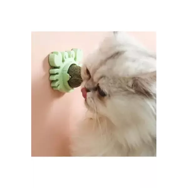 Yengeç Kedi Otu Oyun Topu - Image 1