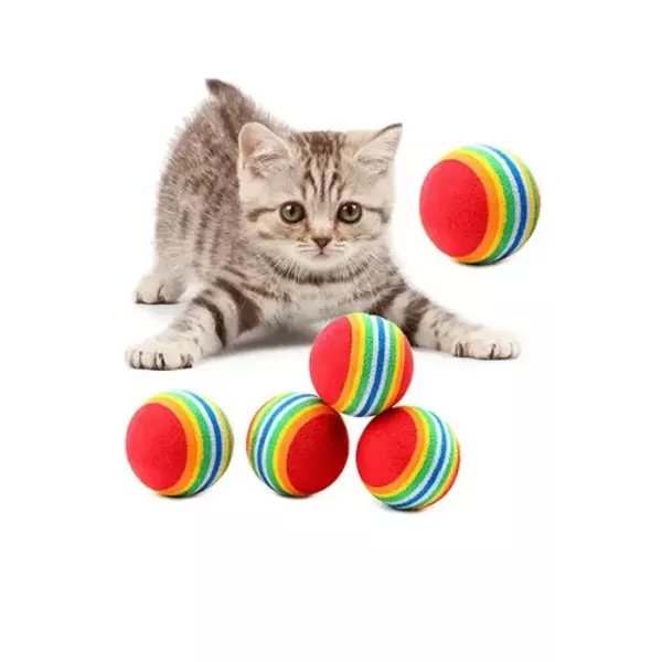 Sünger Kedi Köpek Çiğneme Ve Oyun Topu 4 Adet - Image 1