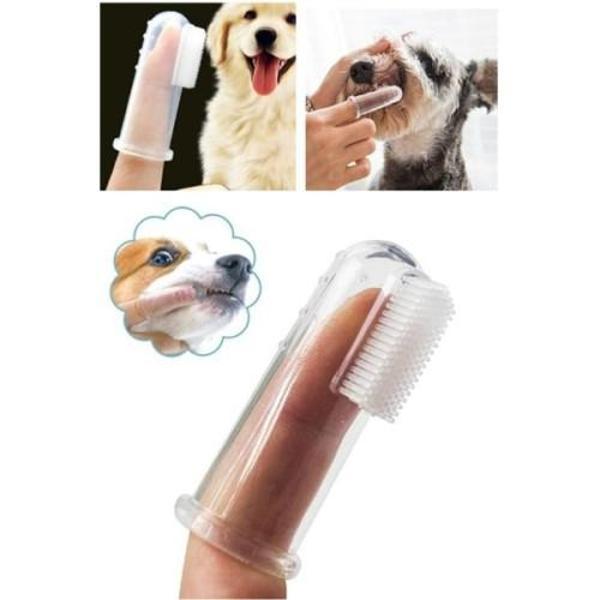 Kedi Köpek Diş Temizleme Fırçası - Image 1