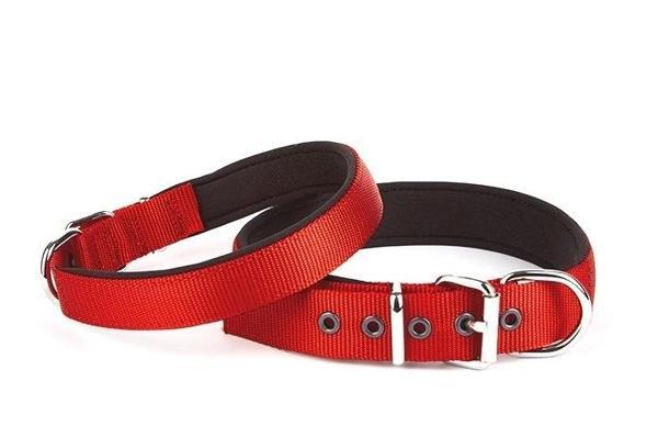 Doggie Konfor Seri Dokuma Köpek Boyun Tasması 4x52-60cm Kırmızı - Image 1