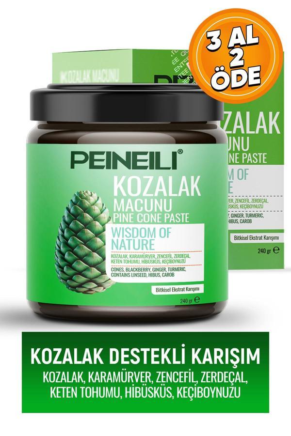 Peineili Çam Kozalağı Macunu Karamürver Zencefil Zerdeçal Keten Tohumu Içeren Kozalak Macunu 240 Gr - Image 1