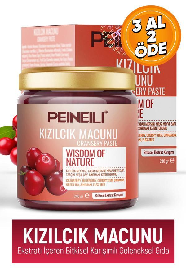 Peineili Yaban Mersini, Kiraz Meyve Sapı, Tarçın, Yeşil Çay, Tarçın, İçeren Kızılcık Macunu 240 Gr - Image 1