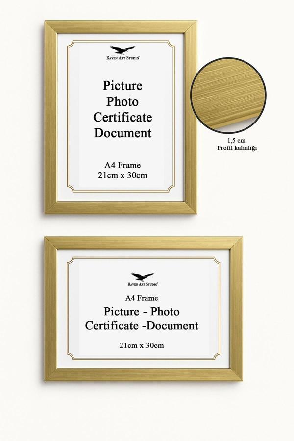 Ermitaj A4 Ebat 21cm x 30cm Resim Fotoğraf Belge Poster Evrak Çerçevesi Korumalı Kırılmaz Pleksi Cam - Image 1