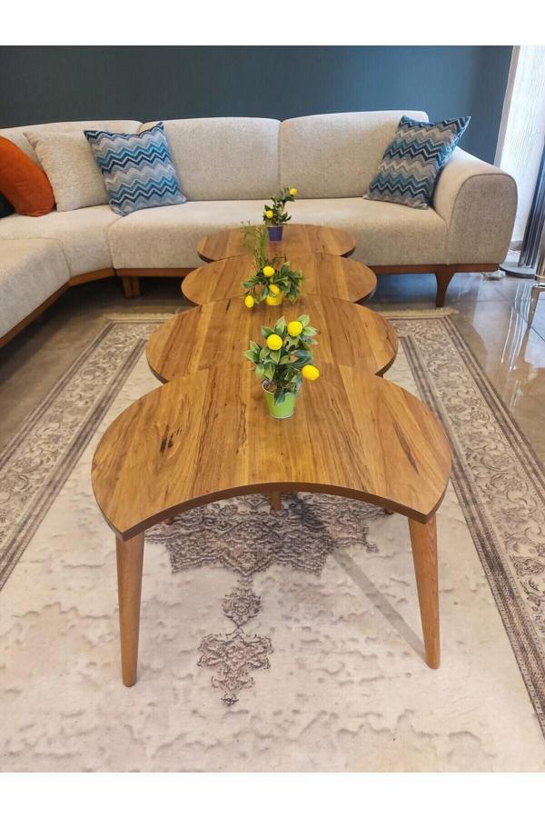 Akset Rüzgar Gülü Orta Sehpa Ve Zigon Full Ceviz - Image 1